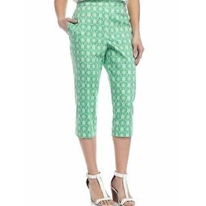 Plus Size Alfred Dunner Turtle Print Capri